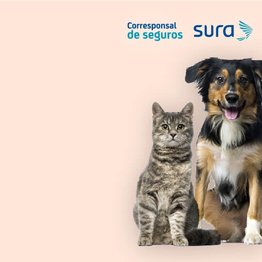 Seguros para mascota