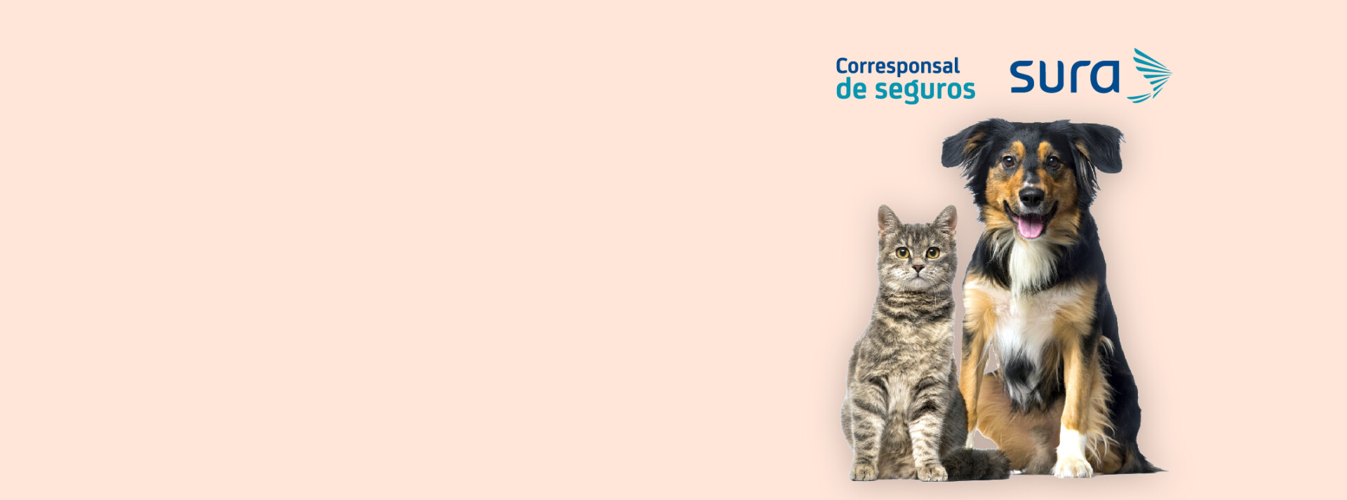 Seguros para mascota